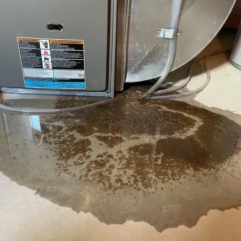 Appliance Leak Cleanup in Lebanon, NH